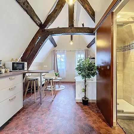 Apartament Center Historique - Le Refuge De L'antiquaire Rouen