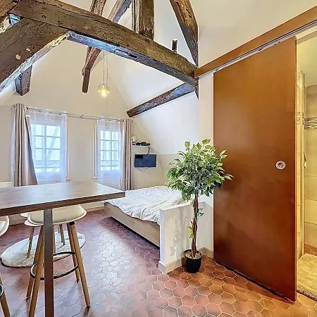 Apartment Center Historique - Le Refuge De L'antiquaire *