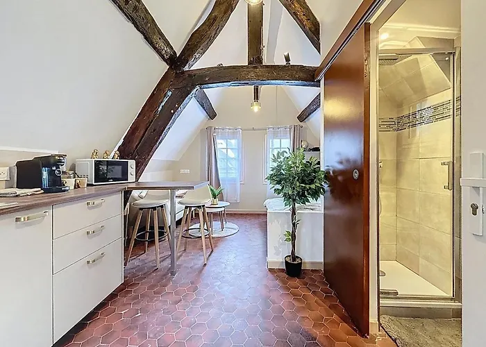 Apartament Center Historique - Le Refuge De L'antiquaire Rouen