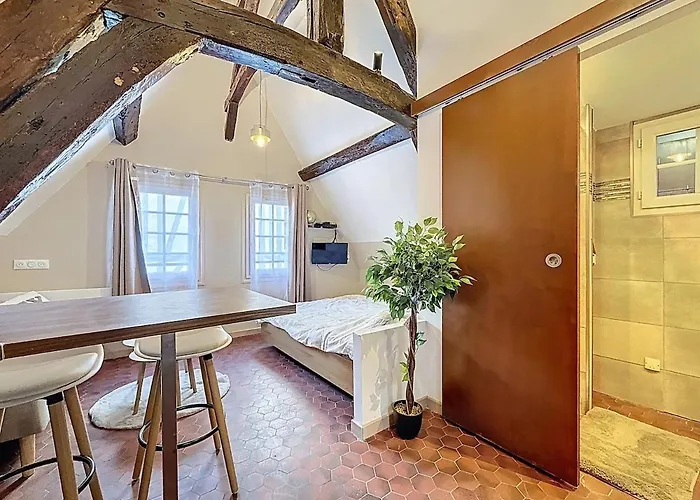 Apartament Center Historique - Le Refuge De L'antiquaire *